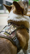 Load image into Gallery viewer, Corgi wearing Tactical Wells PVC Patch showing corgi operator design with tactical gear and night vision goggles